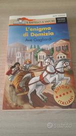 L'enigma di Domizia