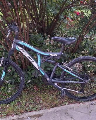 Bicicletta Galant 24