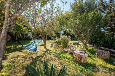 Vacanze a Procida in Casa