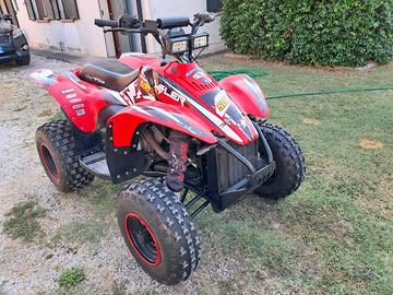 Quad 500