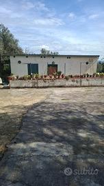 Casa di campagna c/da S. Lucia