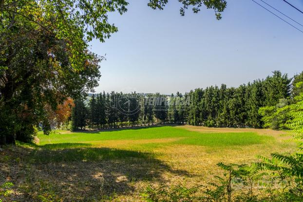 TERRENO AGRICOLO A COLLEVERDE