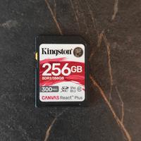 Scheda SD di memoria Canvas React Plus Kingston