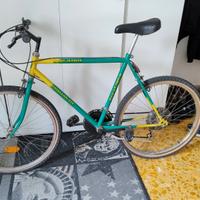 Bici Usata taglia L