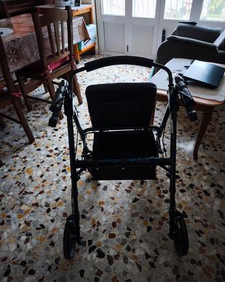 deambulatore per disabili 