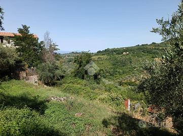 TER. AGRICOLO A POGGIO MIRTETO