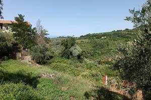 TER. AGRICOLO A POGGIO MIRTETO