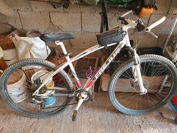 mountain bike frejus 29