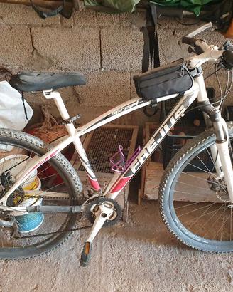 mountain bike frejus 29