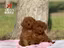 Immagine 5