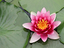 Immagine 3