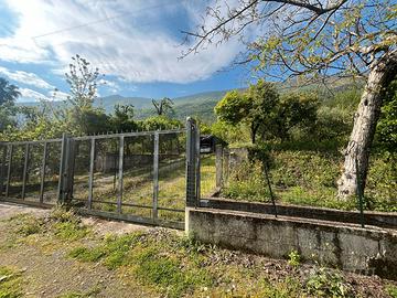 Terreno agricolo - zona montalbino