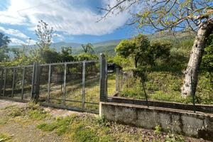 Terreno agricolo - zona montalbino