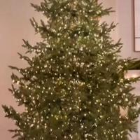 Albero di natale di Salvatore Izzo