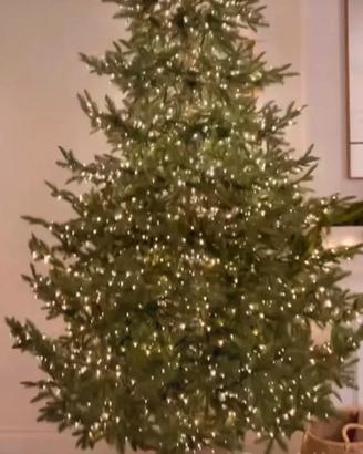 Albero di natale di Salvatore Izzo