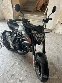 LEM BRUTUS 110 automatico