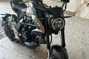 LEM BRUTUS 110 automatico