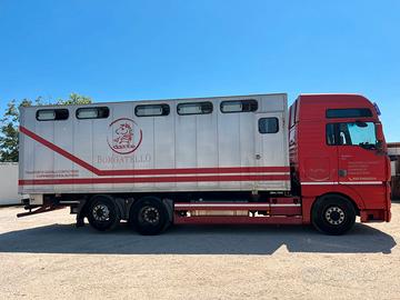 Man TGA XXL trasporto cavalli