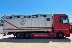 Man TGA XXL trasporto cavalli