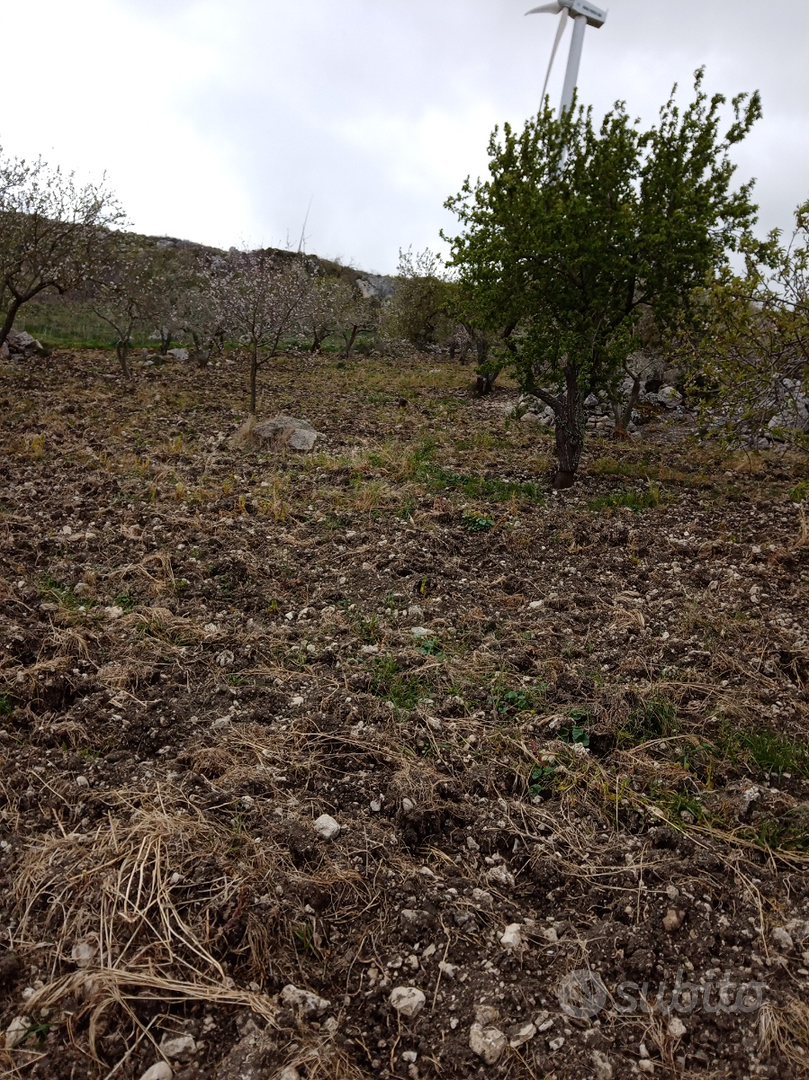 Terreno con rustico di circa 60000 (24 tumoli circ - Vista 5