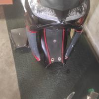 carene vetroresina cbr1000