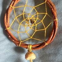 ACCHIAPPASOGNI NATURALE GIALLO