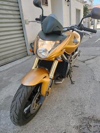 Hornet 600 km 27200 anno 2008