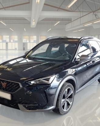 CUPRA FORMENTOR 2.0 TDI 4DRIVE DSG SUV