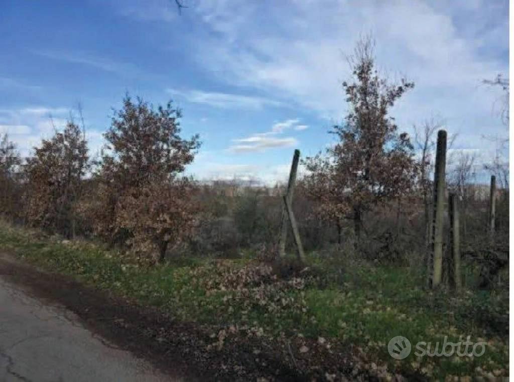 Immobile in asta di 15873 m² a Spoleto - Vista 5
