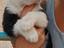 Immagine 3