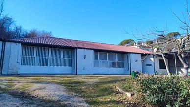 Stabile commerciale/artigianale/ristorazione/bar