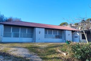 Stabile commerciale/artigianale/ristorazione/bar