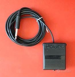 Pedale Roland DP-2 (Sustain-Hold) vintage.