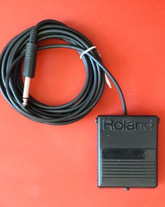 Pedale Roland DP-2 (Sustain-Hold) vintage.