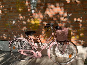 Bicicletta con cestino