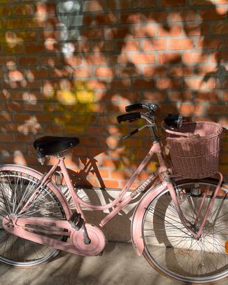 Bicicletta con cestino