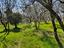 Immagine 27