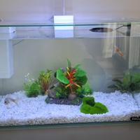 Acquario zolux Clear 40, usato 2 mesi.