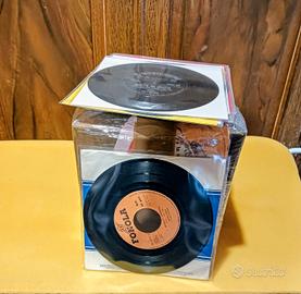 dischi in vinile 