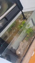 acquario 100 litri 