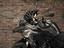 Immagine 11