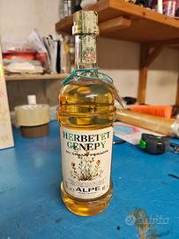 Liquore Genepy du Grand Paradis 