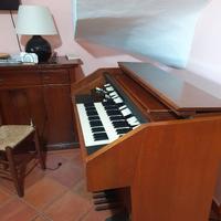 Organo hammond