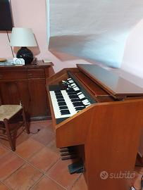Organo hammond