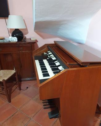 Organo hammond