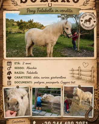 Falabella