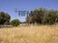 Immagine 13