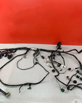 Cablaggio Suzuki Gsxr 1000 K5 2005