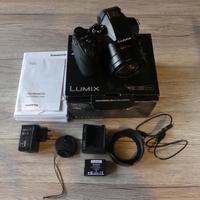 Panasonic Fz300