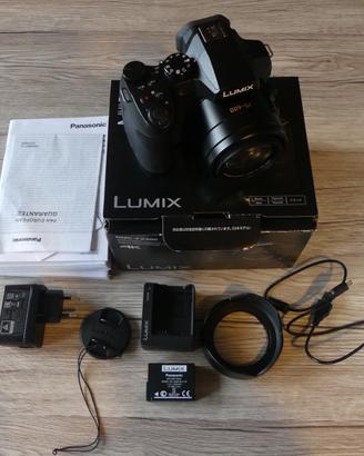 Panasonic Fz300